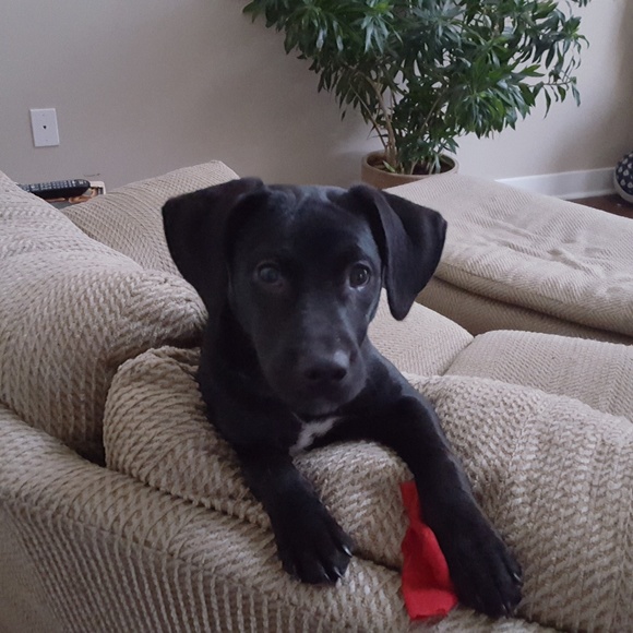 Other - ❤🧡💛OFFERS💚💙🤎